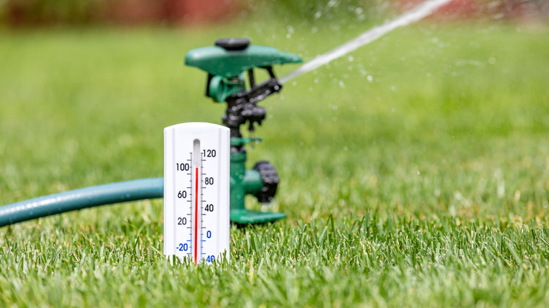 A thermometer showing a 100 degree temperature is embedded in the lawn with a sprinkler in the background.