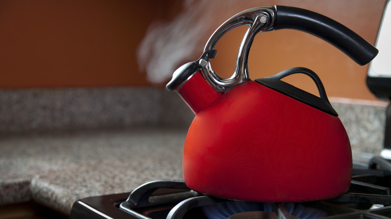 A tea kettle steams on a stovetop.