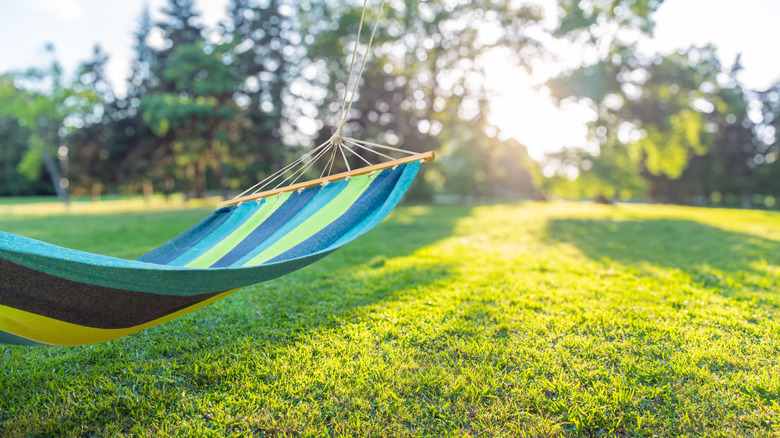 A hammock hangs over a yard.