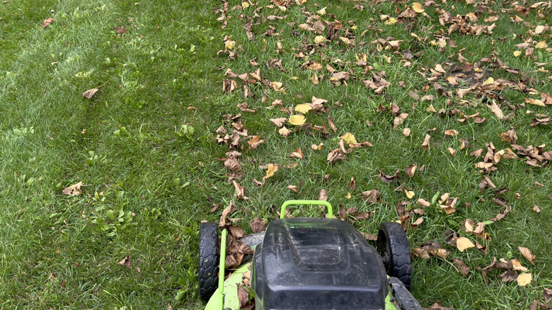 POV shot of a green and black push mower cutting grass and leaves