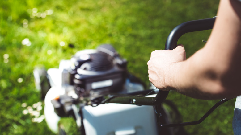 A person's arms pushing a lawn mower which is out of focus