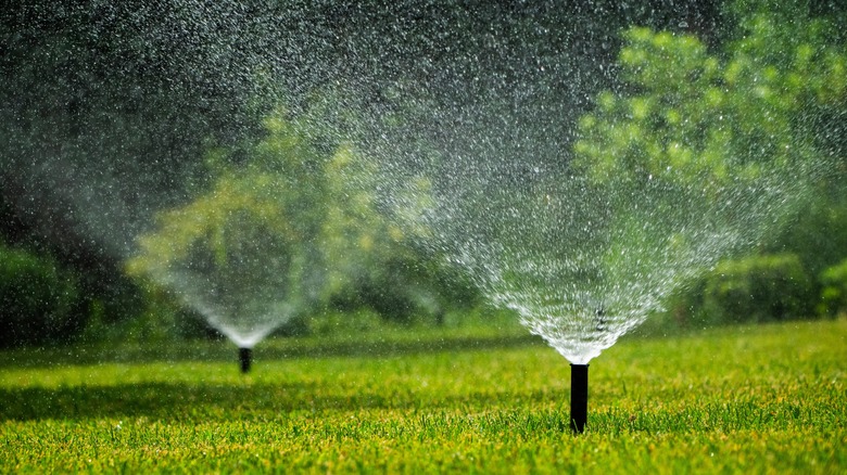 Sprinklers irrigate a lush lawn.