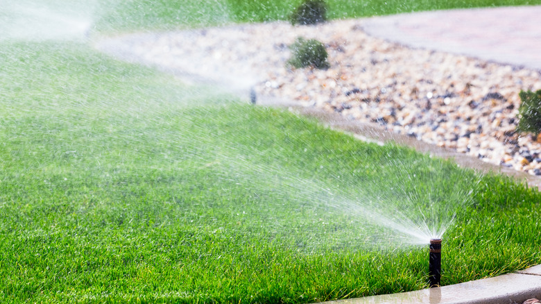 Sprinklers are set up to water a lawn without watering nearby hardscape.