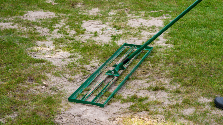 A lawn rake is used to work seeds into soil.