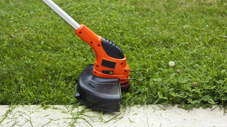A string trimmer cuts grass along a sidewalk.