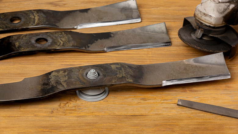 Lawn mower blades lying on table near file ready to be sharpened.