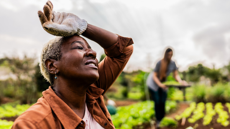 Woman wipes her brow, hot in the garden.
