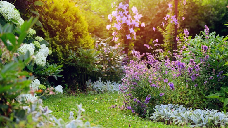 A perennial garden is curated with a winding grass path.