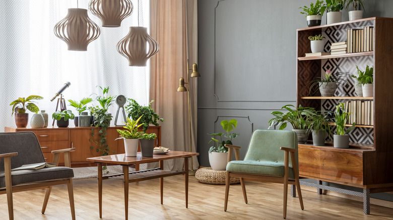 A room boasts mid-century modern decor and a variety of houseplants.