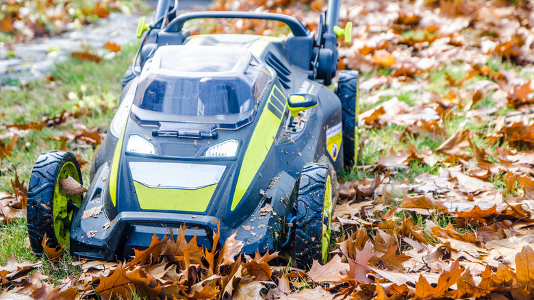 Lawn mower goes over grass with fallen brown leaves.