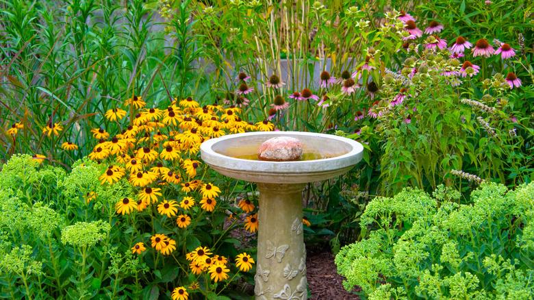 A birdbath is in the middle of the garden.
