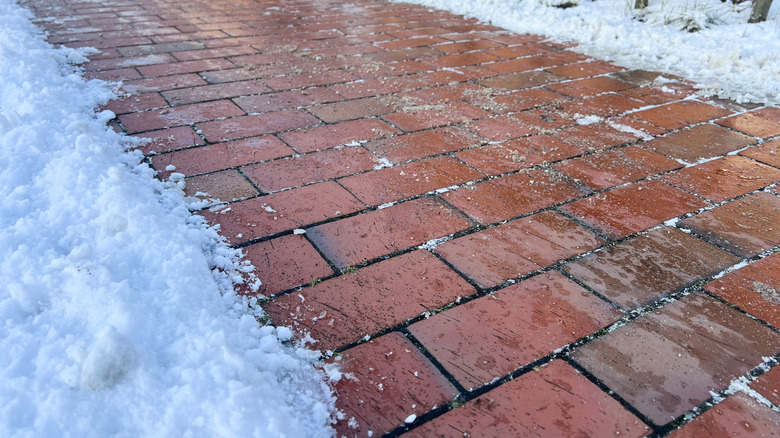 Brick pathway with snow on either side.