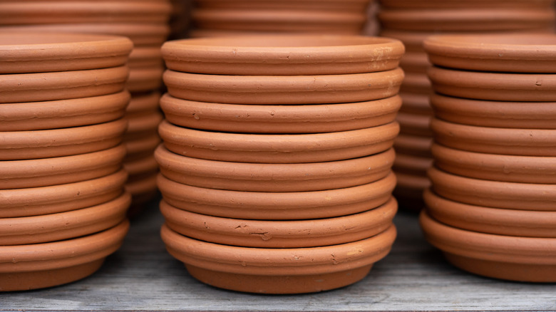 Stacks of terracotta saucers sit on a wooden surface.