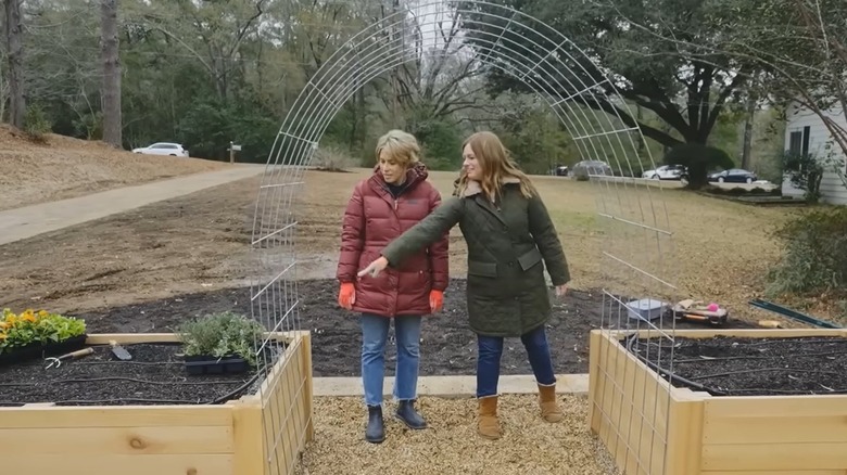Erin Napier inspects a winter garden.