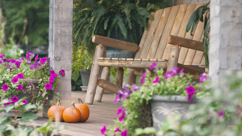 Petunias grow in containers near pumpkins on a porch.