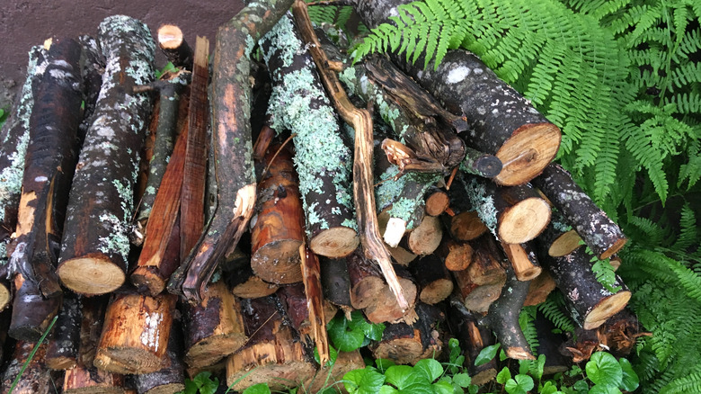 A pile of decomposing logs rest in a garden.
