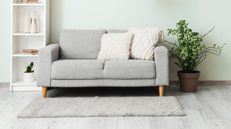 An indoor houseplant tree grows next to a gray house in a neutral-colored living room.
