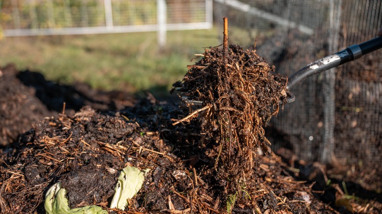 A gardener shovels compost.