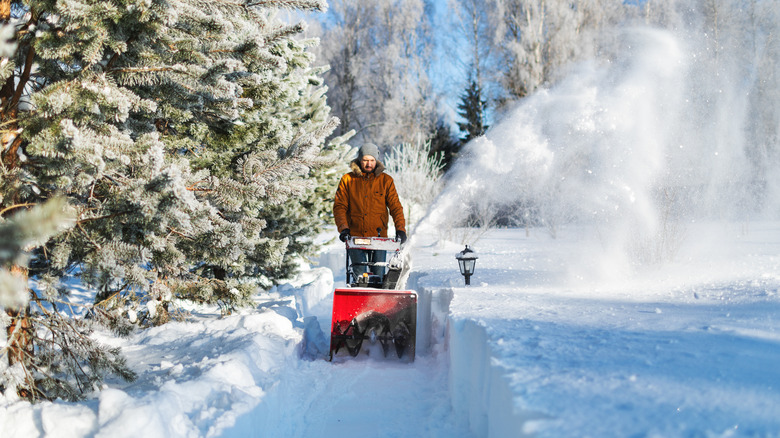 A man uses a snow blower, aiming snow away from a line of trees.