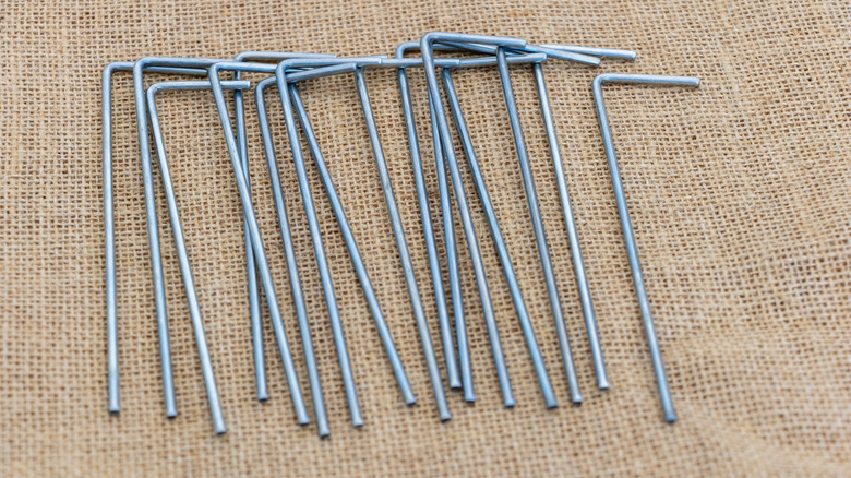 Metal ground stakes are laid out on a sheet of burlap cloth.