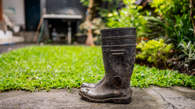 A pair of muddy black rain boots have been placed in a yard.