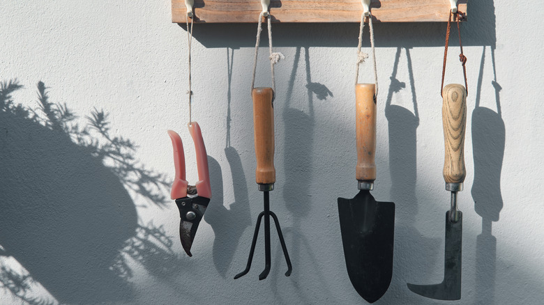 Handheld garden tools hang on a rack.