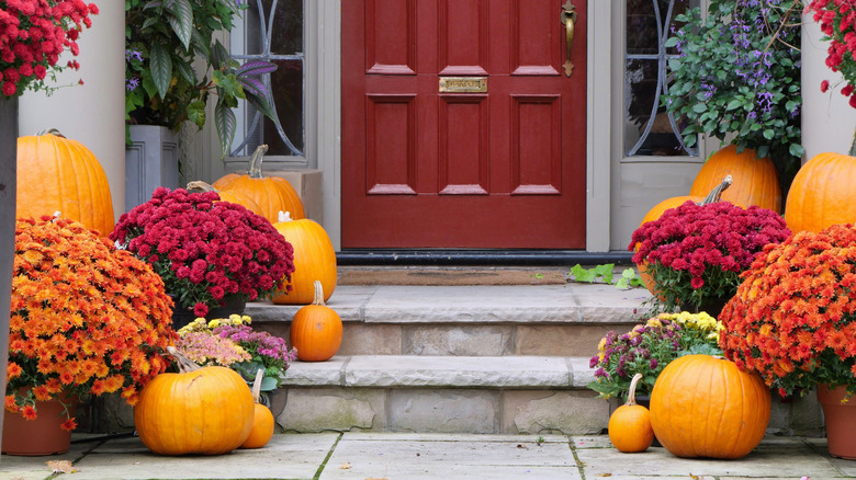 Pumpkins and mums sit on a doorstep.