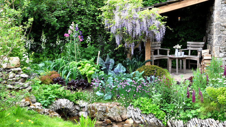 A rustic woodland garden with foxgloves and other plants thrives at the Chelsea Flower Show.