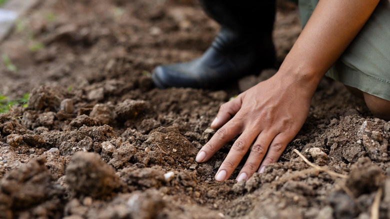 A farmer's hand touches the soil.