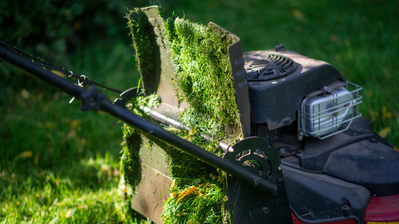 Lawn mower caked with wet grass clippings, showing buildup on the underside of the deck