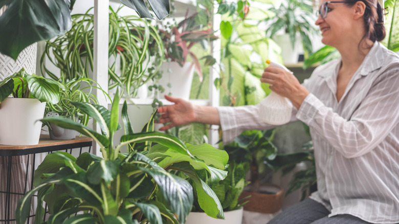 An older woman admiring a houseplant.