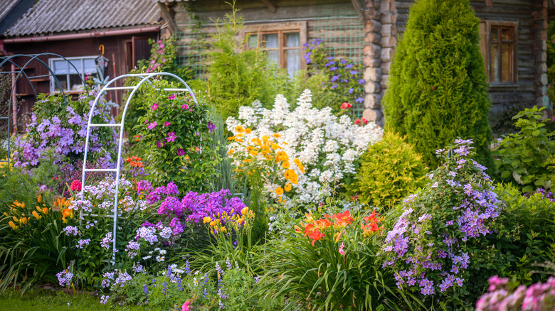 A beautiful ornamental garden grows an array of colorful flowers