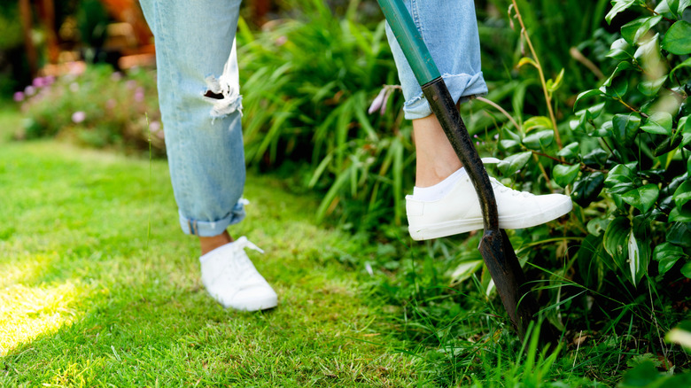 Woman digging up plant in her yard.