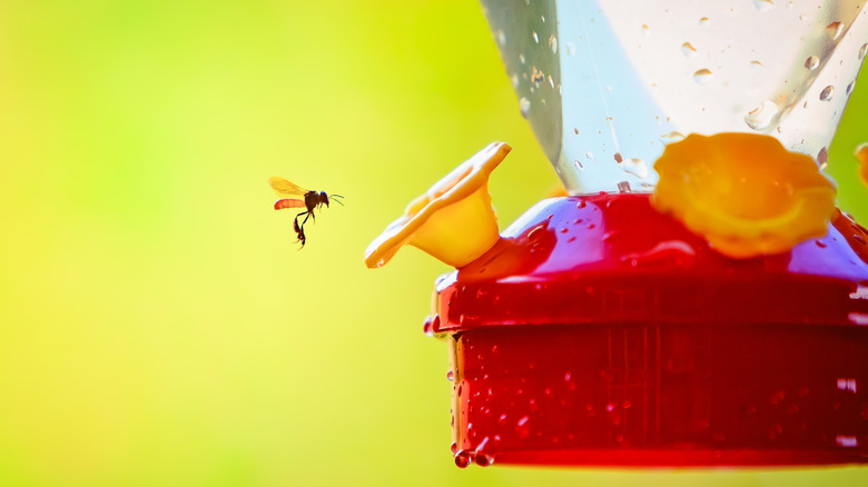 A wasp flies to a yellow plastic flower on a hummingbird feeder.