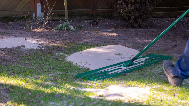 A person top dresses their lawn with sand.