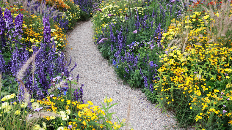 Colorful flowers bloom along the sides of a path.