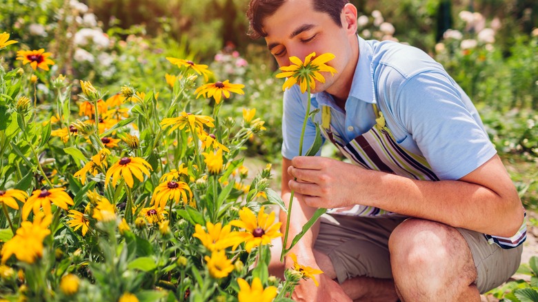 A young man bends over to smell a patch of yellow flowers.