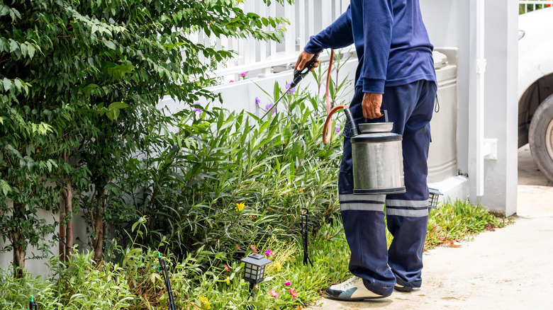 A pest control worker wearing blue sprays pesticide on the porch and plants near a white house