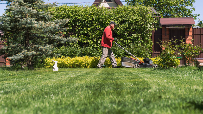 An elderly man mows a pristine lawn in his yard