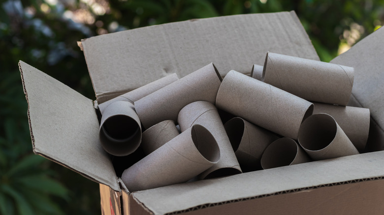 A bunch of toilet paper rolls in a cardboard box with a blurred green background