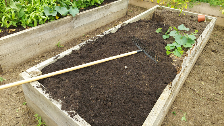 A rake lies in a raised garden bed.