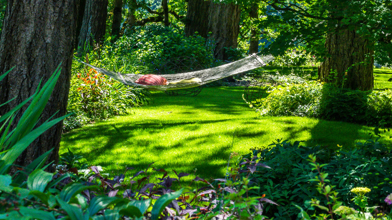 A garden in the shade under trees, with grass, landscape plants, and a hammock
