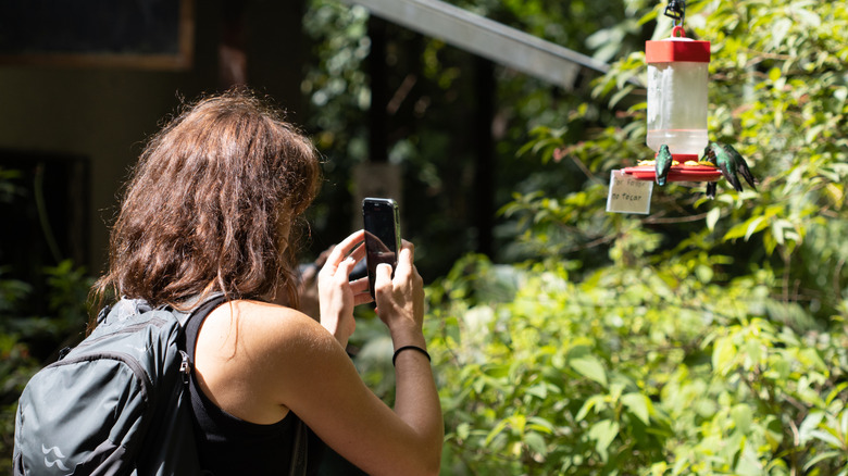 A woman taking a picture of a hummingbird feeder from her cellphone