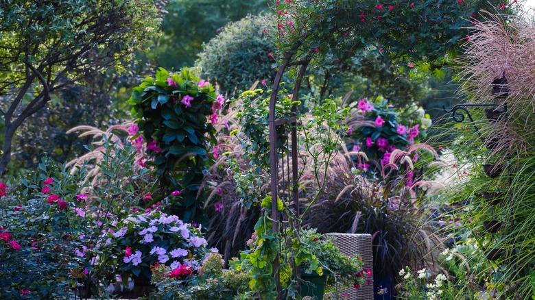 A vibrant maximalist garden featuring pink, red, and purple flowers, trees, and grasses