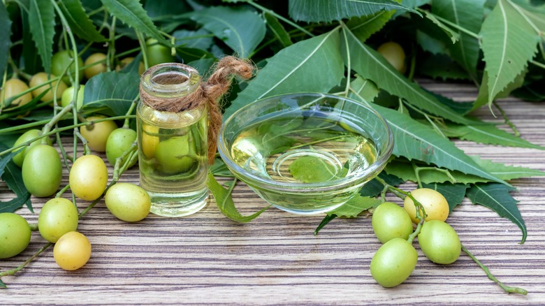 Neem oil sits in a glass bowl and container.