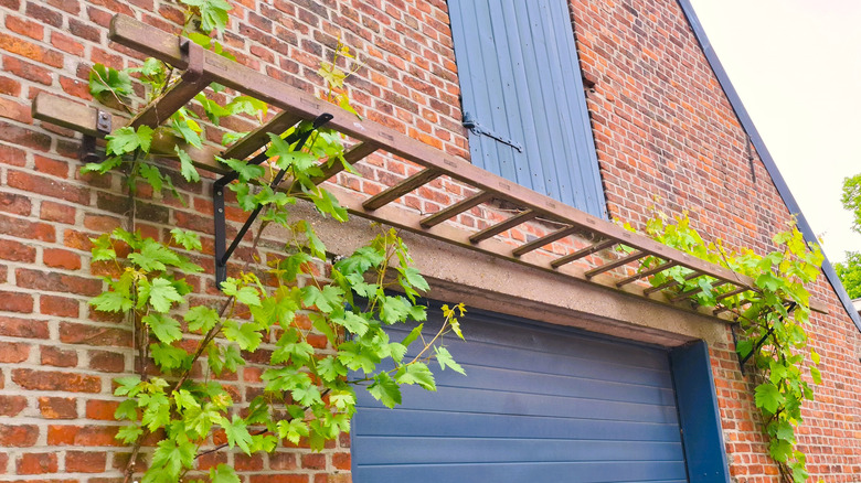 An old ladder is used as a trellis above a garage door.