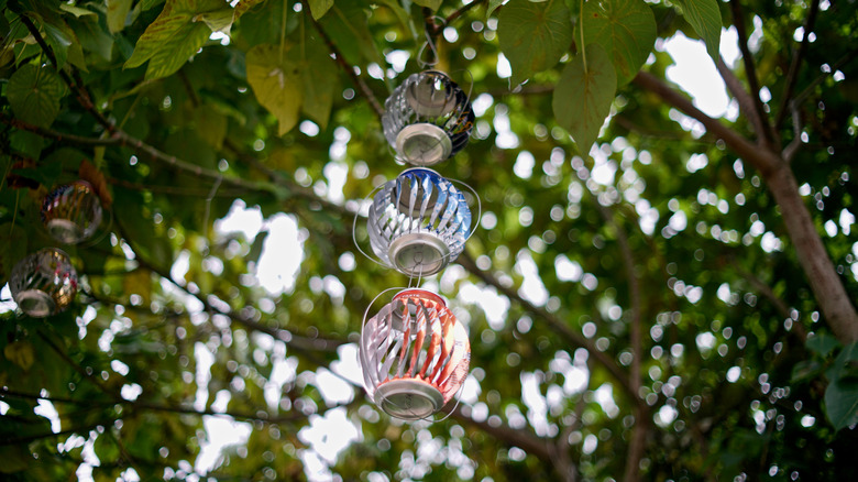 Three sliced soda cans hang from a tree.