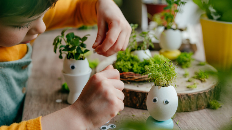 A child decorates egg shells growing sprouts with stick-on googly eyes.