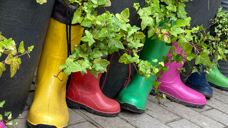 Plants grow in a line of colorful rain boots.