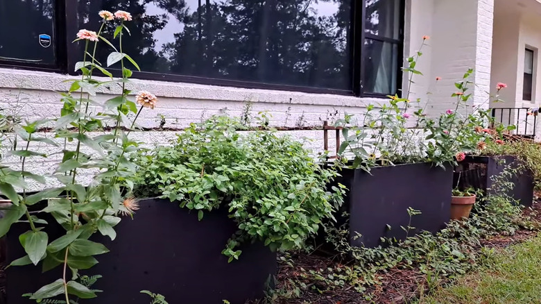 Old file cabinets turned on side with plants growing out of them.